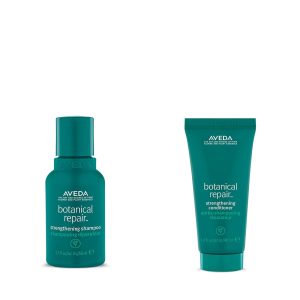 Aveda Botanical Repair Strengthening Shampoo & Conditioner Duo